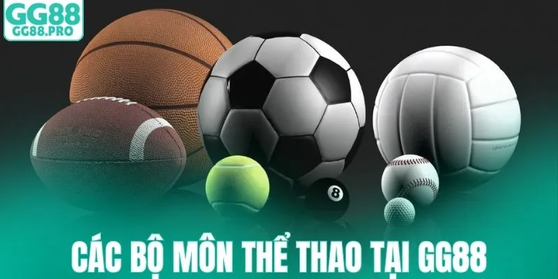 Các bộ môn ăn khách