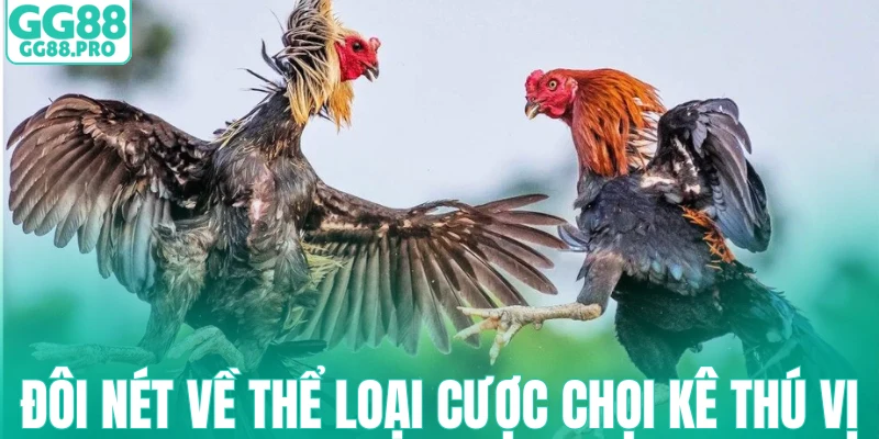 Đôi nét về thể loại cược chọi kê thú vị