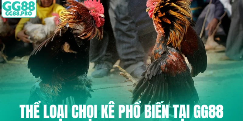 Thể loại chọi kê phổ biến tại GG88